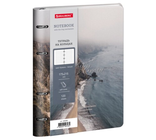Тетрадь на кольцах А5, 175х215 мм, 120 л., под кожу, BRAUBERG VISTA, 