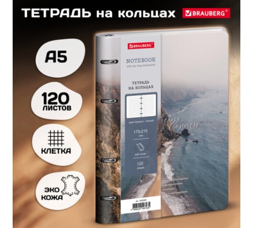 Тетрадь на кольцах А5, 175х215 мм, 120 л., под кожу, BRAUBERG VISTA, 
