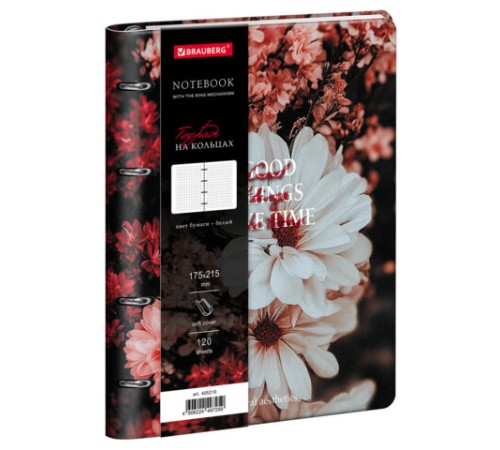 Тетрадь на кольцах А5, 175х215 мм, 120 л., под кожу, BRAUBERG VISTA, 