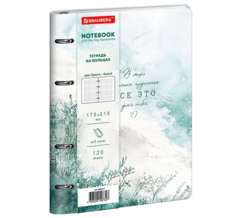 Тетрадь на кольцах А5, 175х215 мм, 120 л., под кожу, BRAUBERG VISTA, 