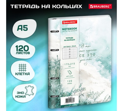 Тетрадь на кольцах А5, 175х215 мм, 120 л., под кожу, BRAUBERG VISTA, 