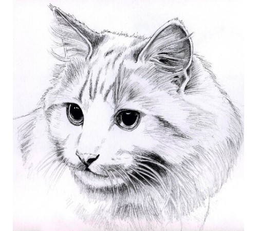 Альбом-скетчбук для рисования, ватман ГОЗНАК 200 г/м2 200х198 мм, 60 л., склейка, BRAUBERG ART CLASSIC, 105909