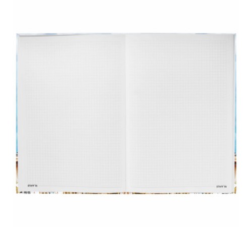 Блокнот БОЛЬШОЙ ФОРМАТ (205х290 мм) А4, 80л, твердый, клетка, STAFF, 