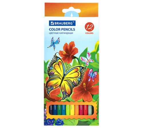 Карандаши цветные BRAUBERG 