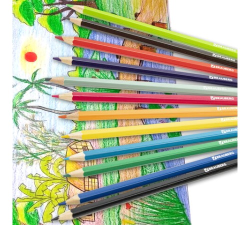 Карандаши цветные BRAUBERG 