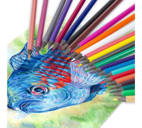 Карандаши цветные ПИФАГОР 