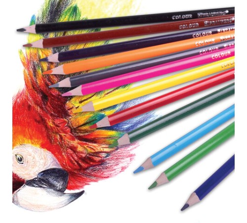 Карандаши цветные BRAUBERG KIDS, 24 цвета, трехгранные, грифель 3 мм, 181944