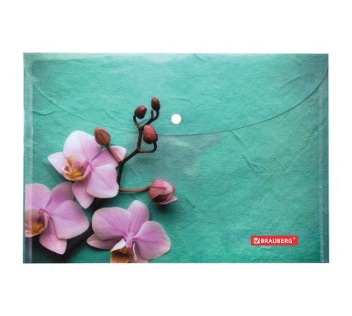 Папка-конверт с кнопкой BRAUBERG 