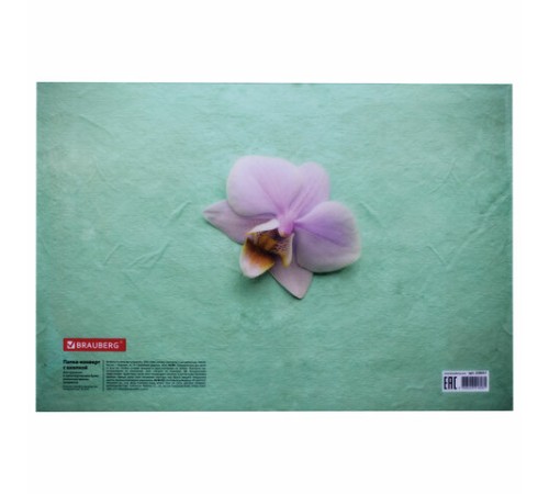 Папка-конверт с кнопкой BRAUBERG 