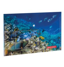 Папка-конверт с кнопкой BRAUBERG 