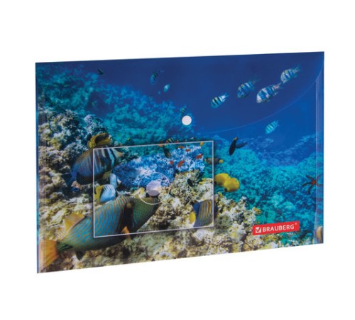 Папка-конверт с кнопкой BRAUBERG 