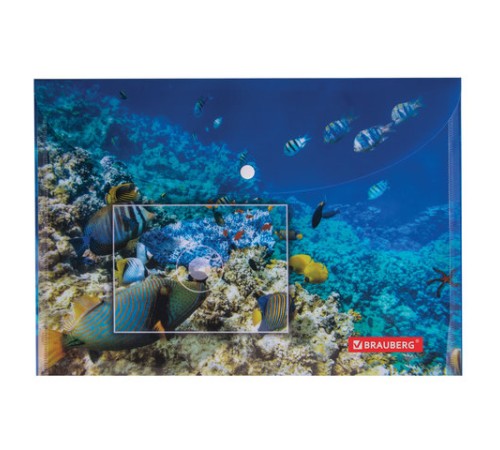 Папка-конверт с кнопкой BRAUBERG 