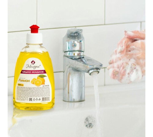 Мыло жидкое 300 мл, МЕЛОДИЯ 