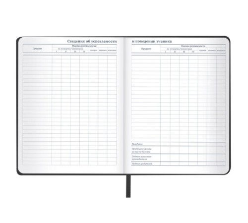 Дневник 1-11 класс 48л, кожзам (твердая), шелкография, BRAUBERG, 