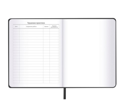 Дневник 1-11 класс 48л, кожзам (твердая), шелкография, BRAUBERG, 