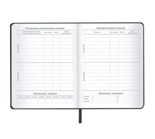 Дневник 1-11 класс 48л, кожзам (твердая), шелкография, BRAUBERG, 