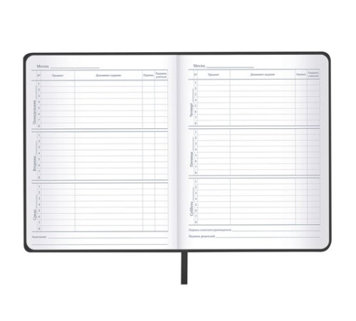 Дневник 1-11 класс 48л, кожзам (твердая), шелкография, BRAUBERG, 