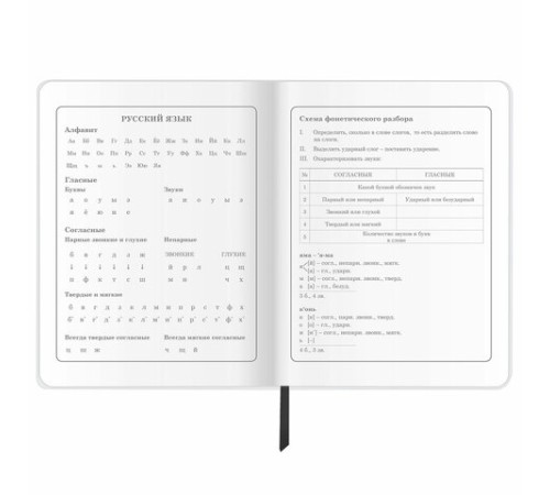 Дневник 1-4 класс 48 л., кожзам (гибкая), печать, фольга, ЮНЛАНДИЯ, 