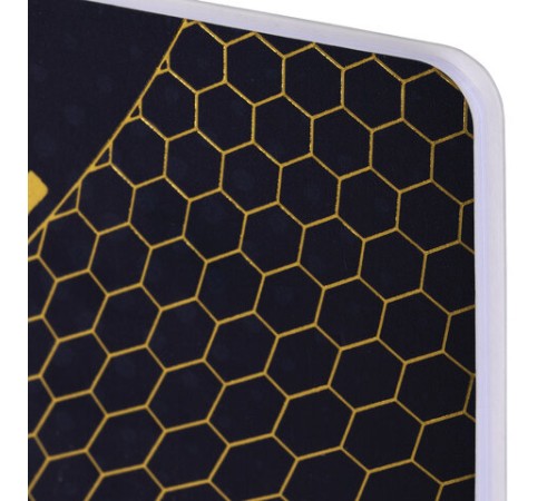 Дневник 1-4 класс 48 л., кожзам (гибкая), печать, фольга, ЮНЛАНДИЯ, 