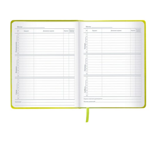 Дневник 1-11 класс 48 л., кожзам (твердая с поролоном), тиснение аппликация, BRAUBERG, 