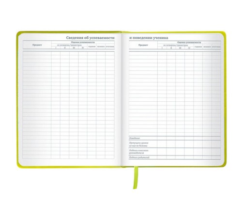 Дневник 1-11 класс 48 л., кожзам (твердая с поролоном), тиснение аппликация, BRAUBERG, 