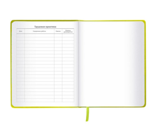 Дневник 1-11 класс 48 л., кожзам (твердая с поролоном), тиснение аппликация, BRAUBERG, 