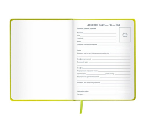 Дневник 1-11 класс 48 л., кожзам (твердая с поролоном), тиснение аппликация, BRAUBERG, 