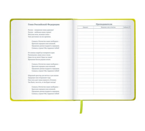 Дневник 1-11 класс 48 л., кожзам (твердая с поролоном), тиснение аппликация, BRAUBERG, 