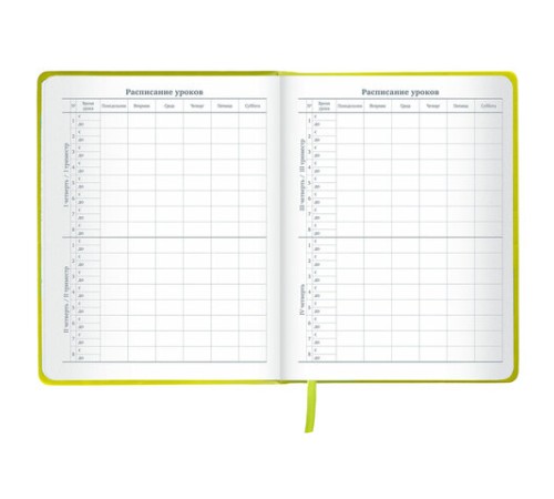 Дневник 1-11 класс 48 л., кожзам (твердая с поролоном), тиснение аппликация, BRAUBERG, 