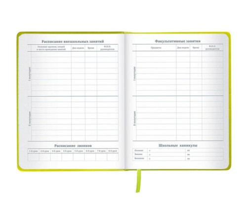 Дневник 1-11 класс 48 л., кожзам (твердая с поролоном), тиснение аппликация, BRAUBERG, 