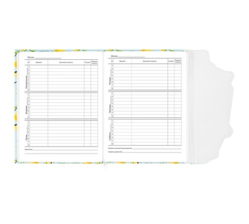 Дневник 1-11 класс 48 л., кожзам (твердая), магнитный клапан, ЮНЛАНДИЯ, 