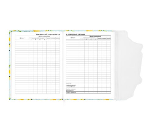 Дневник 1-11 класс 48 л., кожзам (твердая), магнитный клапан, ЮНЛАНДИЯ, 