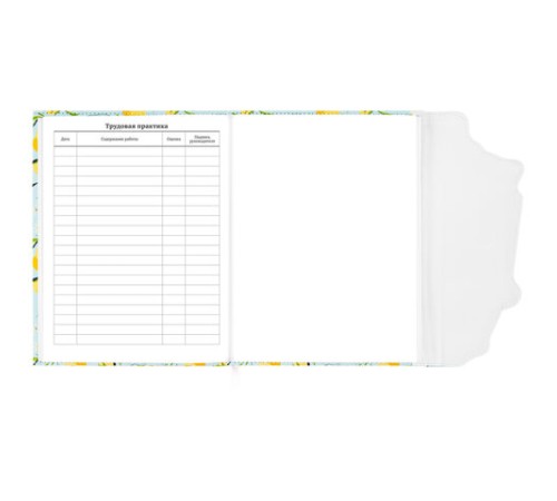 Дневник 1-11 класс 48 л., кожзам (твердая), магнитный клапан, ЮНЛАНДИЯ, 