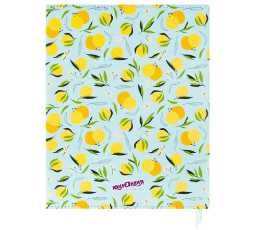 Дневник 1-11 класс 48 л., кожзам (твердая), магнитный клапан, ЮНЛАНДИЯ, 