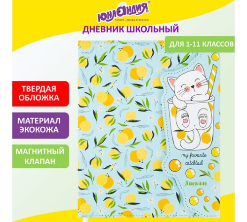 Дневник 1-11 класс 48 л., кожзам (твердая), магнитный клапан, ЮНЛАНДИЯ, 