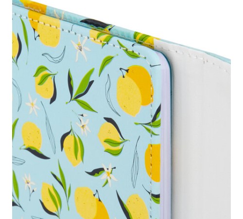 Дневник 1-11 класс 48 л., кожзам (твердая), магнитный клапан, ЮНЛАНДИЯ, 