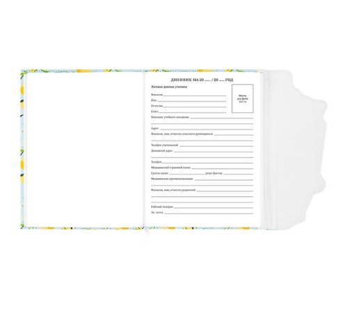 Дневник 1-11 класс 48 л., кожзам (твердая), магнитный клапан, ЮНЛАНДИЯ, 