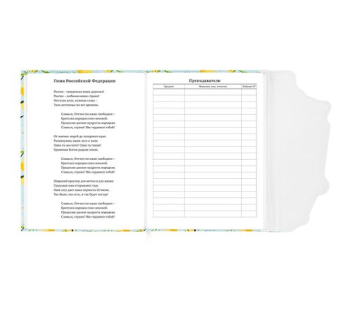 Дневник 1-11 класс 48 л., кожзам (твердая), магнитный клапан, ЮНЛАНДИЯ, 