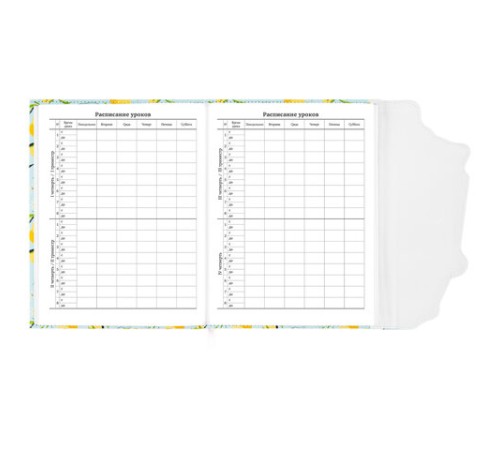 Дневник 1-11 класс 48 л., кожзам (твердая), магнитный клапан, ЮНЛАНДИЯ, 