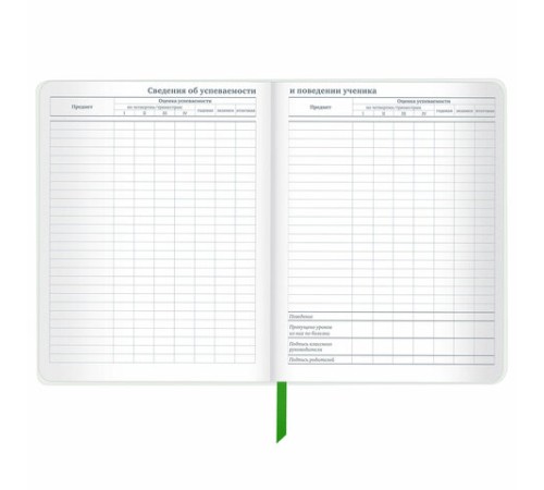 Дневник 1-11 класс 48 л., кожзам (твердая с поролоном), флуоресцентный, BRAUBERG, 