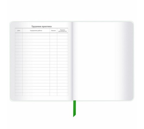 Дневник 1-11 класс 48 л., кожзам (твердая с поролоном), флуоресцентный, BRAUBERG, 