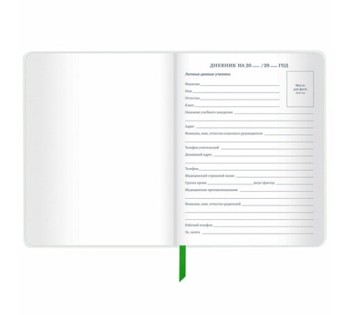Дневник 1-11 класс 48 л., кожзам (твердая с поролоном), флуоресцентный, BRAUBERG, 