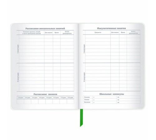 Дневник 1-11 класс 48 л., кожзам (твердая с поролоном), флуоресцентный, BRAUBERG, 