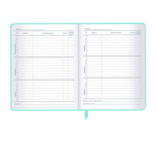 Дневник 1-11 класс 48 л., кожзам SoftTouch (твердая с поролоном), фольга, BRAUBERG, 