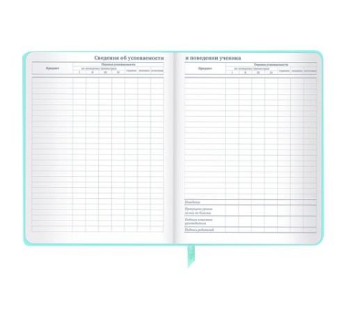 Дневник 1-11 класс 48 л., кожзам SoftTouch (твердая с поролоном), фольга, BRAUBERG, 