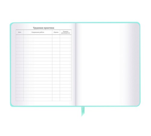 Дневник 1-11 класс 48 л., кожзам SoftTouch (твердая с поролоном), фольга, BRAUBERG, 