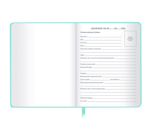 Дневник 1-11 класс 48 л., кожзам SoftTouch (твердая с поролоном), фольга, BRAUBERG, 