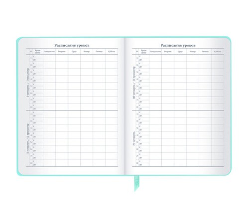 Дневник 1-11 класс 48 л., кожзам SoftTouch (твердая с поролоном), фольга, BRAUBERG, 