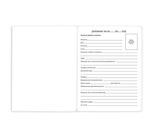 Дневник 1-11 класс 40 л., на скобе, ПИФАГОР, обложка картон, 