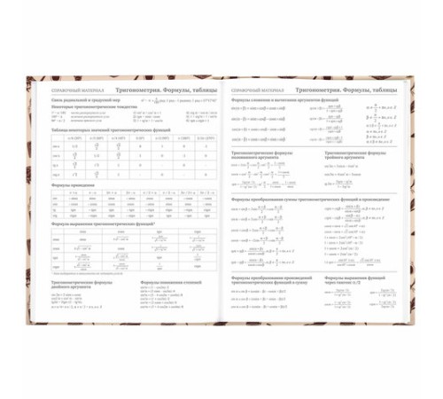 Дневник 5-11 класс 48 л., твердый, BRAUBERG, выборочный лак, с подсказом, 